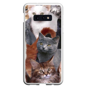 Чехол для Samsung S10E с принтом Много котов в Новосибирске, Силикон | Область печати: задняя сторона чехла, без боковых панелей | кот | котишик | котишика | коты | кошка | кошки | много котов | многокотье