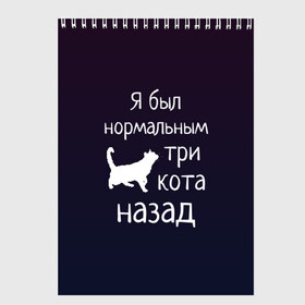 Скетчбук с принтом Я был в норме три кота назад в Новосибирске, 100% бумага
 | 48 листов, плотность листов — 100 г/м2, плотность картонной обложки — 250 г/м2. Листы скреплены сверху удобной пружинной спиралью | Тематика изображения на принте: cats | normal | жизненно | жизнь | котики | коты | котэ | кошатник | кошатница | кошка | кошки | нормальный