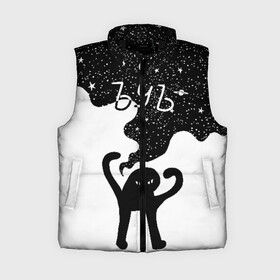 Женский жилет утепленный 3D с принтом ЪУЪ в Новосибирске,  |  | angry | black | cat | hands raised up | meme | planets | silhouette | sky | space | stars | swing | звезды | злой | качели | космос | кот | мем | небо | планеты | поднятые вверх | руки | силуэт | съука | черный | ъуъ