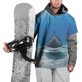 Накидка на куртку 3D с принтом Анфас в Новосибирске, 100% полиэстер |  | Тематика изображения на принте: bottom | fin | full face | jaw | ocean | sand | shark | water | акула | анфас | вода | дно | океан | песок | плавник