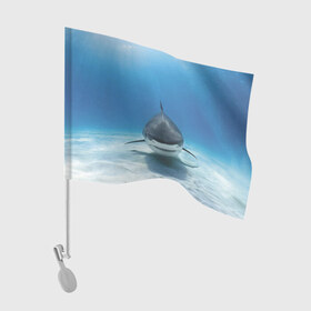 Флаг для автомобиля с принтом Анфас в Новосибирске, 100% полиэстер | Размер: 30*21 см | Тематика изображения на принте: bottom | fin | full face | jaw | ocean | sand | shark | water | акула | анфас | вода | дно | океан | песок | плавник