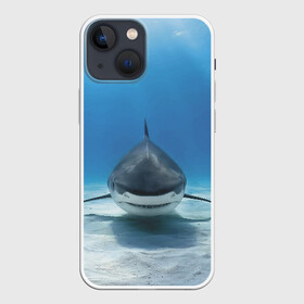 Чехол для iPhone 13 mini с принтом Анфас в Новосибирске,  |  | bottom | fin | full face | jaw | ocean | sand | shark | water | акула | анфас | вода | дно | океан | песок | плавник