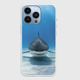 Чехол для iPhone 13 Pro с принтом Анфас в Новосибирске,  |  | bottom | fin | full face | jaw | ocean | sand | shark | water | акула | анфас | вода | дно | океан | песок | плавник