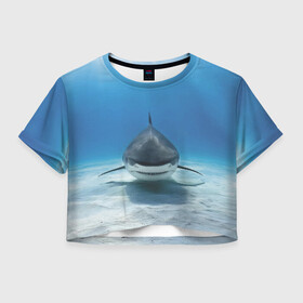 Женская футболка Cropp-top с принтом Анфас в Новосибирске, 100% полиэстер | круглая горловина, длина футболки до линии талии, рукава с отворотами | Тематика изображения на принте: bottom | fin | full face | jaw | ocean | sand | shark | water | акула | анфас | вода | дно | океан | песок | плавник