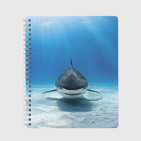 Тетрадь с принтом Анфас в Новосибирске, 100% бумага | 48 листов, плотность листов — 60 г/м2, плотность картонной обложки — 250 г/м2. Листы скреплены сбоку удобной пружинной спиралью. Уголки страниц и обложки скругленные. Цвет линий — светло-серый
 | Тематика изображения на принте: bottom | fin | full face | jaw | ocean | sand | shark | water | акула | анфас | вода | дно | океан | песок | плавник