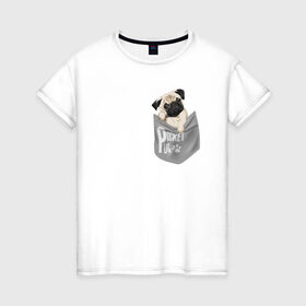 Женская футболка хлопок с принтом Мопс в кармане в Новосибирске, 100% хлопок | прямой крой, круглый вырез горловины, длина до линии бедер, слегка спущенное плечо | pug | карман | карманный мопс | малыш | милый | мопс | пес | песик | собака | собачка