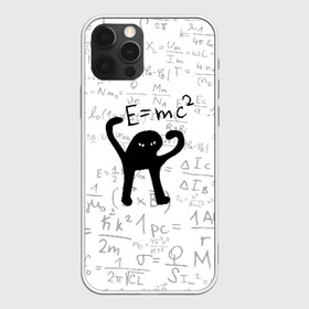 Чехол для iPhone 12 Pro Max с принтом ЪУЪ СЪУКА E=mc2 в Новосибирске, Силикон |  | cat | emc 2 | emc2 | mem | memes | truxkot19 | знаменитые формулы | интернет приколы | кот | мем | мем кот | физика | формулы | ъуъ | ъуъ съука | эйнштейн