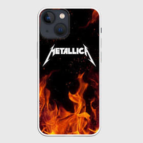 Чехол для iPhone 13 mini с принтом METALLICA (НА СПИНЕ) в Новосибирске,  |  | fire | flame | metallica | металлика | огонь | пламя