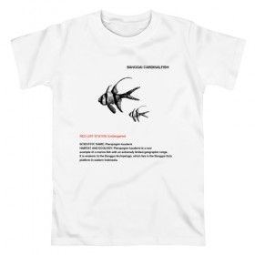 Мужская футболка хлопок с принтом Banggai Cardinalfish в Новосибирске, 100% хлопок | прямой крой, круглый вырез горловины, длина до линии бедер, слегка спущенное плечо. | animals | red book | red list | животные | животные из красной книги | красная книга | редкие животные
