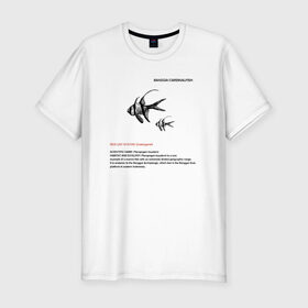 Мужская футболка премиум с принтом Banggai Cardinalfish в Новосибирске, 92% хлопок, 8% лайкра | приталенный силуэт, круглый вырез ворота, длина до линии бедра, короткий рукав | animals | red book | red list | животные | животные из красной книги | красная книга | редкие животные