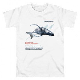 Мужская футболка хлопок с принтом Hampback whale в Новосибирске, 100% хлопок | прямой крой, круглый вырез горловины, длина до линии бедер, слегка спущенное плечо. | animals | red book | red list | животные | животные из красной книги | красная книга | редкие животные