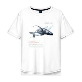 Мужская футболка хлопок Oversize с принтом Hampback whale в Новосибирске, 100% хлопок | свободный крой, круглый ворот, “спинка” длиннее передней части | animals | red book | red list | животные | животные из красной книги | красная книга | редкие животные