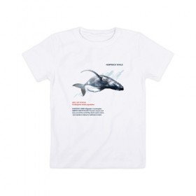 Детская футболка хлопок с принтом Hampback whale в Новосибирске, 100% хлопок | круглый вырез горловины, полуприлегающий силуэт, длина до линии бедер | animals | red book | red list | животные | животные из красной книги | красная книга | редкие животные