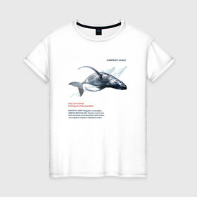 Женская футболка хлопок с принтом Hampback whale в Новосибирске, 100% хлопок | прямой крой, круглый вырез горловины, длина до линии бедер, слегка спущенное плечо | animals | red book | red list | животные | животные из красной книги | красная книга | редкие животные