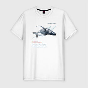 Мужская футболка премиум с принтом Hampback whale в Новосибирске, 92% хлопок, 8% лайкра | приталенный силуэт, круглый вырез ворота, длина до линии бедра, короткий рукав | animals | red book | red list | животные | животные из красной книги | красная книга | редкие животные