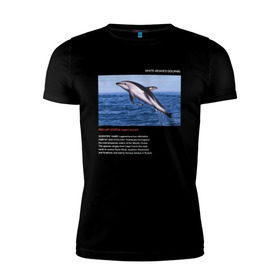 Мужская футболка премиум с принтом White-beaked Dolphin в Новосибирске, 92% хлопок, 8% лайкра | приталенный силуэт, круглый вырез ворота, длина до линии бедра, короткий рукав | animals | red book | red list | животные | животные из красной книги | красная книга | редкие животные