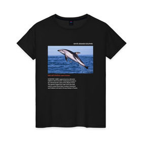 Женская футболка хлопок с принтом White-beaked Dolphin в Новосибирске, 100% хлопок | прямой крой, круглый вырез горловины, длина до линии бедер, слегка спущенное плечо | animals | red book | red list | животные | животные из красной книги | красная книга | редкие животные