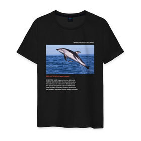 Мужская футболка хлопок с принтом White-beaked Dolphin в Новосибирске, 100% хлопок | прямой крой, круглый вырез горловины, длина до линии бедер, слегка спущенное плечо. | animals | red book | red list | животные | животные из красной книги | красная книга | редкие животные