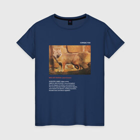Женская футболка хлопок с принтом Corsac fox в Новосибирске, 100% хлопок | прямой крой, круглый вырез горловины, длина до линии бедер, слегка спущенное плечо | animals | red book | red list | животные | животные из красной книги | красная книга | редкие животные