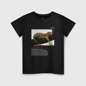 Детская футболка хлопок с принтом Leopard в Новосибирске, 100% хлопок | круглый вырез горловины, полуприлегающий силуэт, длина до линии бедер | animals | red book | red list | животные | животные из красной книги | красная книга | редкие животные