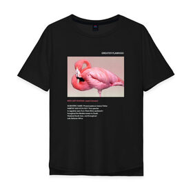 Мужская футболка хлопок Oversize с принтом Greater Flamingo в Новосибирске, 100% хлопок | свободный крой, круглый ворот, “спинка” длиннее передней части | animals | red book | red list | животные | животные из красной книги | красная книга | редкие животные | фламинго