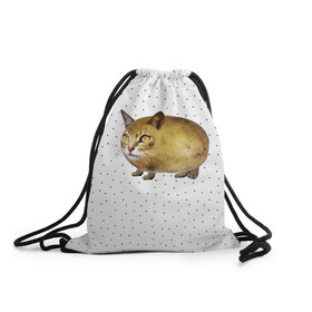 Рюкзак-мешок 3D с принтом ЧИЛИПИ*ДРИК в Новосибирске, 100% полиэстер | плотность ткани — 200 г/м2, размер — 35 х 45 см; лямки — толстые шнурки, застежка на шнуровке, без карманов и подкладки | internet | meme | memes | pikabu | интернет | картофель | картошка | киса | киска | кот | котенок | котик | коты | котята | кошки | мем | мемас | мемасы | мемы | пикабу | прикол | приколы | чикибряк | шутка | юмор