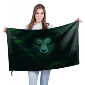 Флаг 3D с принтом Сибирь. Лесной волк в Новосибирске, 100% полиэстер | плотность ткани — 95 г/м2, размер — 67 х 109 см. Принт наносится с одной стороны | safesibiria | siberia | алтай | волк | дикий | елки | ель | лес | охота | сибирь | сибирь горит | сибирьгорит | спаситесибирь | тайга | шерегеш | экология