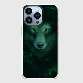 Чехол для iPhone 13 Pro с принтом Сибирь. Лесной волк в Новосибирске,  |  | Тематика изображения на принте: safesibiria | siberia | алтай | волк | дикий | елки | ель | лес | охота | сибирь | сибирь горит | сибирьгорит | спаситесибирь | тайга | шерегеш | экология
