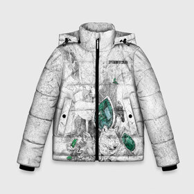 Зимняя куртка для мальчиков 3D с принтом Драгоценная Сибирь в Новосибирске, ткань верха — 100% полиэстер; подклад — 100% полиэстер, утеплитель — 100% полиэстер | длина ниже бедра, удлиненная спинка, воротник стойка и отстегивающийся капюшон. Есть боковые карманы с листочкой на кнопках, утяжки по низу изделия и внутренний карман на молнии. 

Предусмотрены светоотражающий принт на спинке, радужный светоотражающий элемент на пуллере молнии и на резинке для утяжки | Тематика изображения на принте: алтай | волк | дикая природа | дикие животные | драгоценные камни | животные | лес | олень | природа | россия | сибирь | сибирь горит