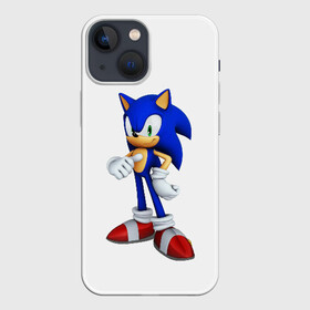 Чехол для iPhone 13 mini с принтом Sonic в Новосибирске,  |  | hedgehog | metal sonic | silver | silver the hedgehog | sonic | sonic boom | sonic the hedgehog | еж | ёж сонник | ежик | игры | соник | фильмы