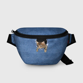 Поясная сумка 3D с принтом Котёнок в рюкзаке в Новосибирске, 100% полиэстер | плотная ткань, ремень с регулируемой длиной, внутри несколько карманов для мелочей, основное отделение и карман с обратной стороны сумки застегиваются на молнию | cat | jeans | kitten | джинса | джинсовка | дыра | дырка | кот | котёнок | кошка