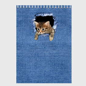 Скетчбук с принтом Котёнок в рюкзаке в Новосибирске, 100% бумага
 | 48 листов, плотность листов — 100 г/м2, плотность картонной обложки — 250 г/м2. Листы скреплены сверху удобной пружинной спиралью | Тематика изображения на принте: cat | jeans | kitten | джинса | джинсовка | дыра | дырка | кот | котёнок | кошка