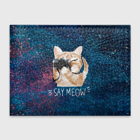 Обложка для студенческого билета с принтом Say Meow в Новосибирске, натуральная кожа | Размер: 11*8 см; Печать на всей внешней стороне | Тематика изображения на принте: meow | кот | котенок | котик | котики | котятка | кошка | мяу | скажи мяу | фотоаппарат | фотограф