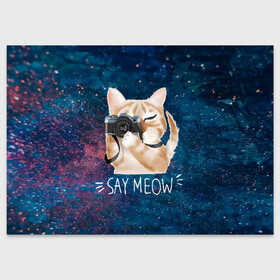 Поздравительная открытка с принтом Say Meow в Новосибирске, 100% бумага | плотность бумаги 280 г/м2, матовая, на обратной стороне линовка и место для марки
 | Тематика изображения на принте: meow | кот | котенок | котик | котики | котятка | кошка | мяу | скажи мяу | фотоаппарат | фотограф
