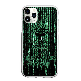 Чехол для iPhone 11 Pro матовый с принтом THE MATRIX HAS YOU в Новосибирске, Силикон |  | Тематика изображения на принте: matrix | андерсон | киану | код | компьютер. монитор. пк | матрица | послание | ривз | сообщение | томас