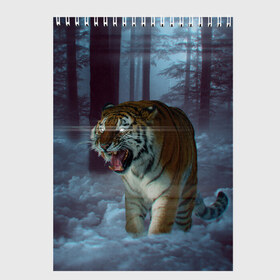 Скетчбук с принтом ТИГР В СУМЕРЕЧНОМ ЛЕСУ в Новосибирске, 100% бумага
 | 48 листов, плотность листов — 100 г/м2, плотность картонной обложки — 250 г/м2. Листы скреплены сверху удобной пружинной спиралью | Тематика изображения на принте: tiger | в лесу | дикая | кошка | лес | природа | тигр | тигренок | тигрица | тигры