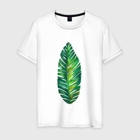 Мужская футболка хлопок с принтом Лист в Новосибирске, 100% хлопок | прямой крой, круглый вырез горловины, длина до линии бедер, слегка спущенное плечо. | лист | лист пальмы | минимализм | тропики