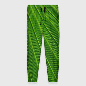 Женские брюки 3D с принтом Зелёный лист в Новосибирске, полиэстер 100% | прямой крой, два кармана без застежек по бокам, с мягкой трикотажной резинкой на поясе и по низу штанин. В поясе для дополнительного комфорта — широкие завязки | abstract | абстрактно | абстрактный | абстракция | зеленый | зелень | лист | листок | листья | полоса | полоска | полосы | природа | флора
