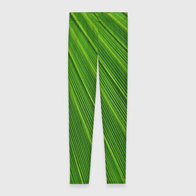 Леггинсы 3D с принтом Зелёный лист в Новосибирске, 80% полиэстер, 20% эластан | Эластичный пояс, зауженные к низу, низкая посадка | abstract | абстрактно | абстрактный | абстракция | зеленый | зелень | лист | листок | листья | полоса | полоска | полосы | природа | флора