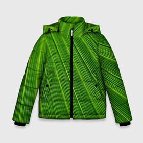 Зимняя куртка для мальчиков 3D с принтом Зелёный лист в Новосибирске, ткань верха — 100% полиэстер; подклад — 100% полиэстер, утеплитель — 100% полиэстер | длина ниже бедра, удлиненная спинка, воротник стойка и отстегивающийся капюшон. Есть боковые карманы с листочкой на кнопках, утяжки по низу изделия и внутренний карман на молнии. 

Предусмотрены светоотражающий принт на спинке, радужный светоотражающий элемент на пуллере молнии и на резинке для утяжки | abstract | абстрактно | абстрактный | абстракция | зеленый | зелень | лист | листок | листья | полоса | полоска | полосы | природа | флора