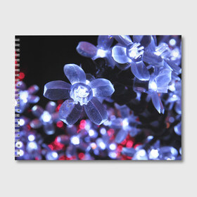 Альбом для рисования с принтом Светящиеся цветы в Новосибирске, 100% бумага
 | матовая бумага, плотность 200 мг. | Тематика изображения на принте: lights | огни | светящиеся | светящийся | светящимся | светящихся | стекло | стеклянные | хрусталь | хрустальные | цвет | цветки | цветок | цветочки | цветы