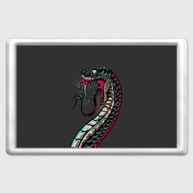 Магнит 45*70 с принтом Viper в Новосибирске, Пластик | Размер: 78*52 мм; Размер печати: 70*45 | animals | art | poison | snake | venom | venomous | viper | арт | гадюка | животное | животные | змеи | змей | змея | картинка | картинки | прикольная | прикольные | яд | ядовитая | ядовитый
