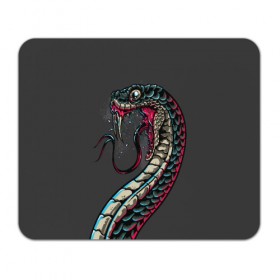 Коврик для мышки прямоугольный с принтом Viper в Новосибирске, натуральный каучук | размер 230 х 185 мм; запечатка лицевой стороны | animals | art | poison | snake | venom | venomous | viper | арт | гадюка | животное | животные | змеи | змей | змея | картинка | картинки | прикольная | прикольные | яд | ядовитая | ядовитый