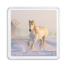 Магнит 55*55 с принтом Белая лошадь на снегу в Новосибирске, Пластик | Размер: 65*65 мм; Размер печати: 55*55 мм | белая | белый | декабрь | животное | животные | звери | зверь | зима | зимний | зимой | кони | конь | копытные | копытный | лошади | лошадь | снег | снега | снегу | снежный | февраль | январь