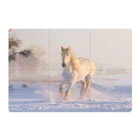 Магнитный плакат 3Х2 с принтом Белая лошадь на снегу в Новосибирске, Полимерный материал с магнитным слоем | 6 деталей размером 9*9 см | Тематика изображения на принте: белая | белый | декабрь | животное | животные | звери | зверь | зима | зимний | зимой | кони | конь | копытные | копытный | лошади | лошадь | снег | снега | снегу | снежный | февраль | январь