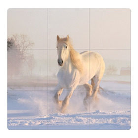 Магнитный плакат 3Х3 с принтом Белая лошадь на снегу в Новосибирске, Полимерный материал с магнитным слоем | 9 деталей размером 9*9 см | Тематика изображения на принте: белая | белый | декабрь | животное | животные | звери | зверь | зима | зимний | зимой | кони | конь | копытные | копытный | лошади | лошадь | снег | снега | снегу | снежный | февраль | январь