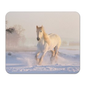 Коврик для мышки прямоугольный с принтом Белая лошадь на снегу в Новосибирске, натуральный каучук | размер 230 х 185 мм; запечатка лицевой стороны | белая | белый | декабрь | животное | животные | звери | зверь | зима | зимний | зимой | кони | конь | копытные | копытный | лошади | лошадь | снег | снега | снегу | снежный | февраль | январь