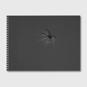 Альбом для рисования с принтом Паук в Новосибирске, 100% бумага
 | матовая бумага, плотность 200 мг. | animal | animals | poison | spider | venom | вдова | животные | каракурт | паук | паутина | паучок | черная | черная вдова | яд