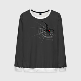 Мужской свитшот 3D с принтом Паук в Новосибирске, 100% полиэстер с мягким внутренним слоем | круглый вырез горловины, мягкая резинка на манжетах и поясе, свободная посадка по фигуре | animal | animals | poison | spider | venom | вдова | животные | каракурт | паук | паутина | паучок | черная | черная вдова | яд