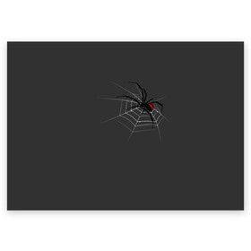 Поздравительная открытка с принтом Паук в Новосибирске, 100% бумага | плотность бумаги 280 г/м2, матовая, на обратной стороне линовка и место для марки
 | animal | animals | poison | spider | venom | вдова | животные | каракурт | паук | паутина | паучок | черная | черная вдова | яд